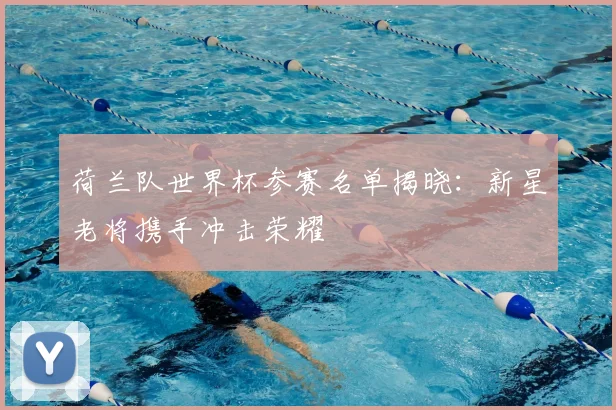 荷兰队世界杯参赛名单揭晓：新星老将携手冲击荣耀
