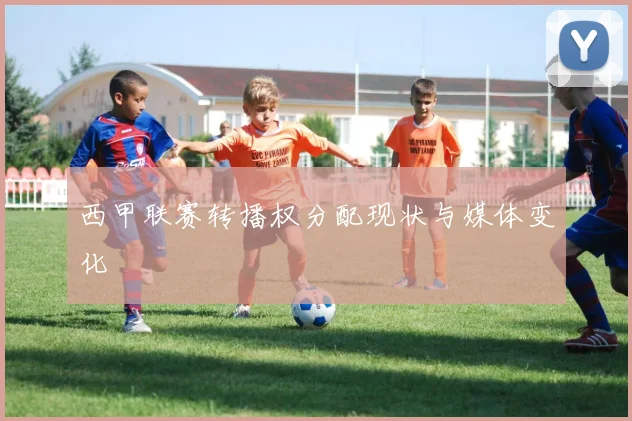西甲联赛转播权分配现状与媒体变化